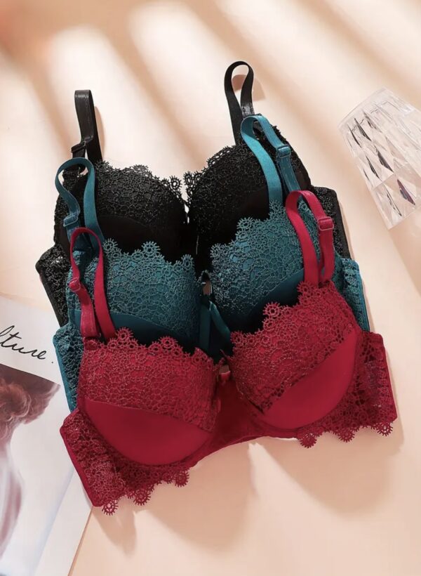 Lace Trim UnderWire Bra